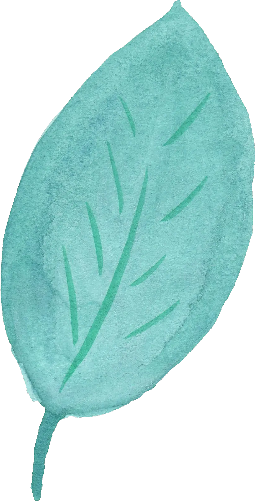Watercolor Leaf Vol Blue Leaf Transparent Background Png Leaf Transparent Background png