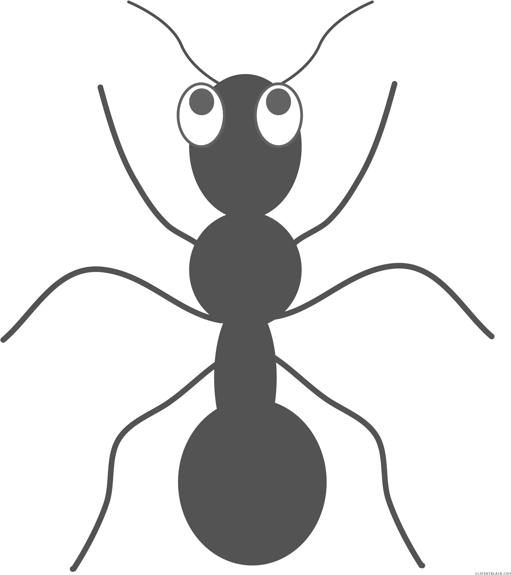 Ant Hill Clipart Ant Transparent Clipart Free Png Ants Png