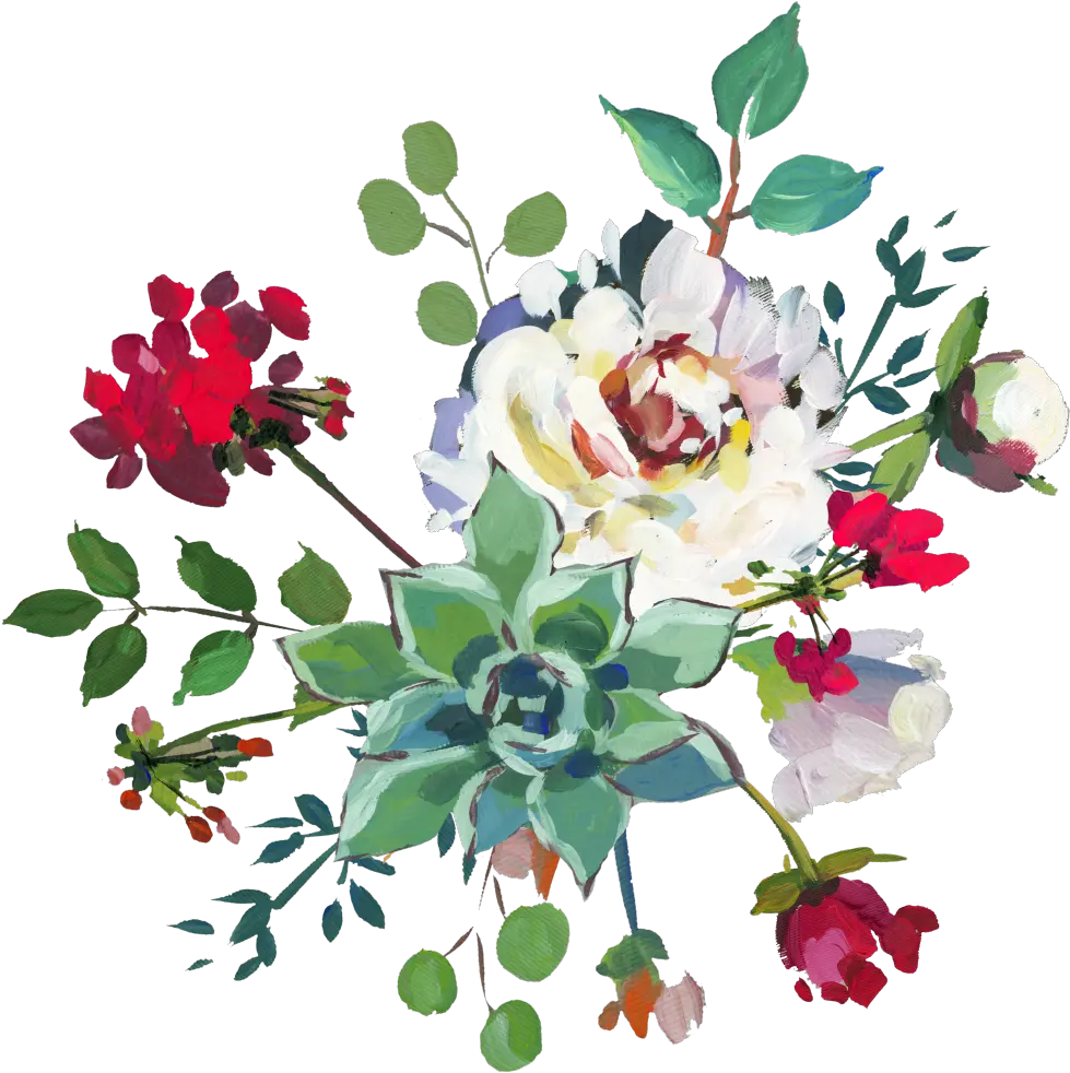 Hand Painted White Peony Flower Png Transparent Spring Floral Clipart Peony Transparent