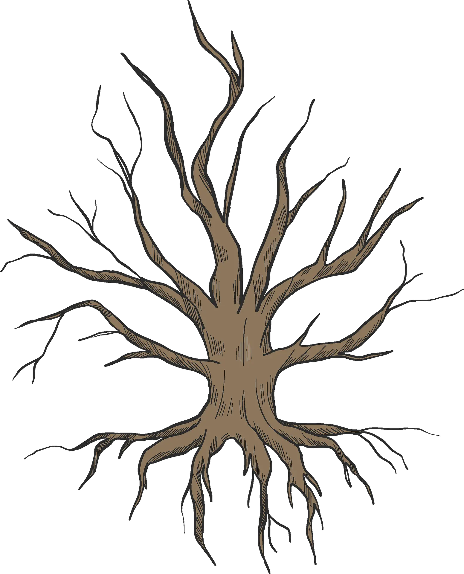 Dried Clipart Roots Png Roots Png