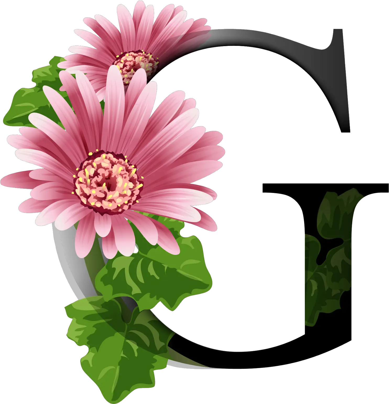 Download Alfabeto Decorativo Flores Png Dignity Of People Flores Png