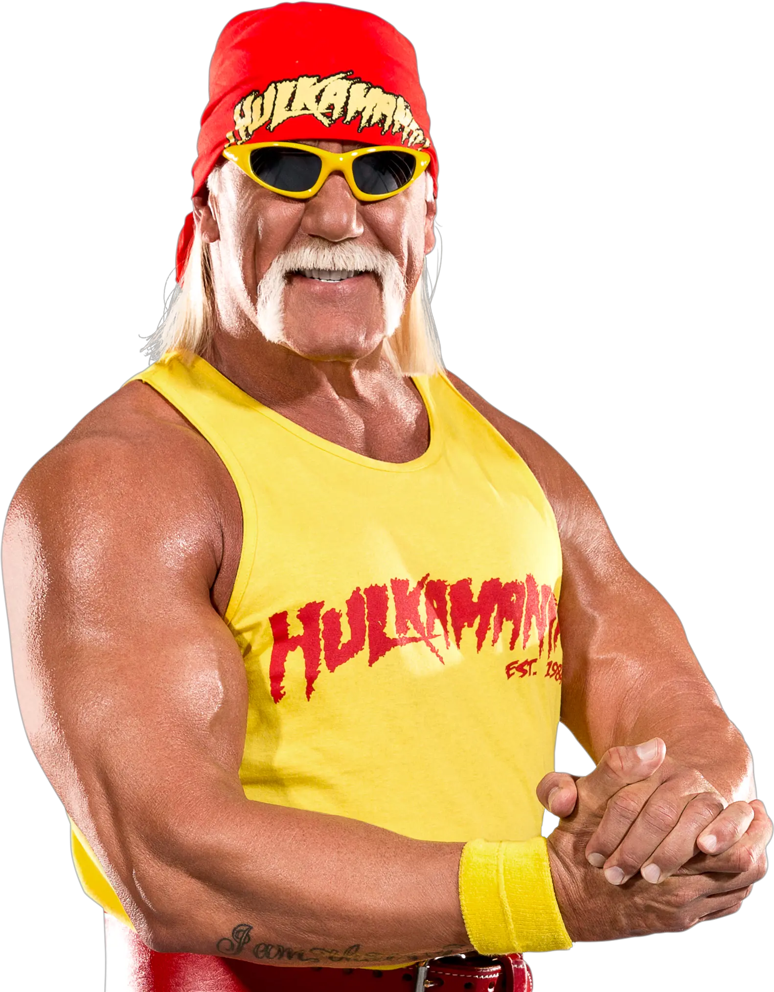Hulk Hogan Png Image Wwe Hulk Hogan Randy Savage Png