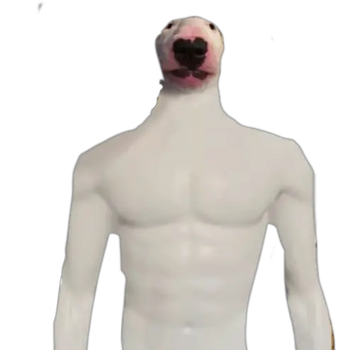 Walter With A Body Rdogelore Ironic Doge Memes Know Muscle Walter Png Doge Face Png