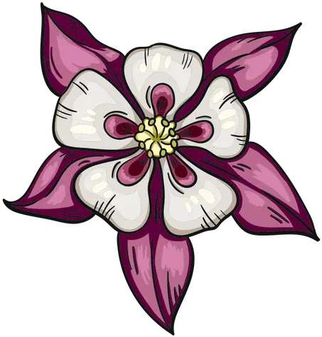 Wild Flower White Purple Columbine Transparent Png U0026 Svg Aguilena Flor Para Dibujar Purple Flower Transparent