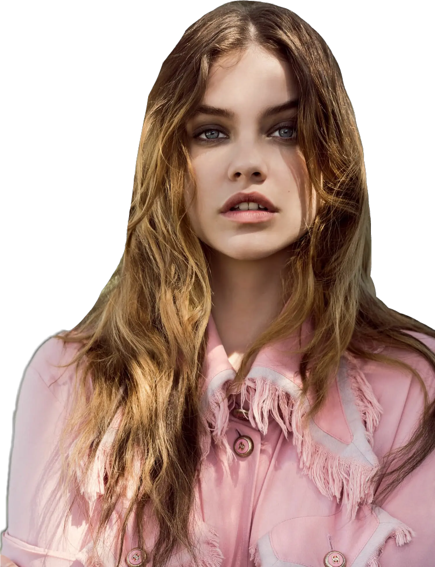 Barbarapalvin Barbara Palvin Model Portrait Barbara Palvin 4k Png Barbara Palvin Png