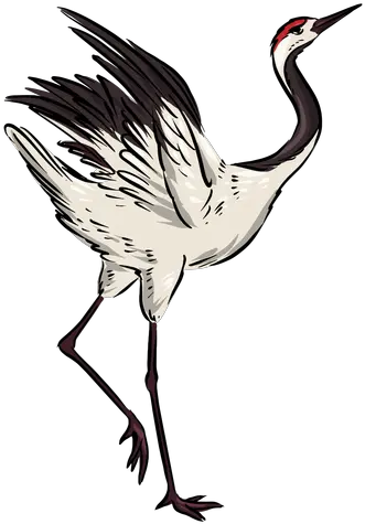 Pretty Crane Bird Ad In 2020 Long Png Crane Bird Png