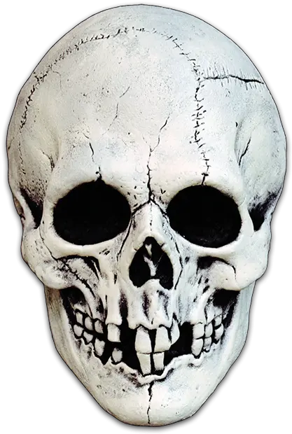 Download Hd Nightowl Skull Nightowl Skull Mask Png Skull Mask Png