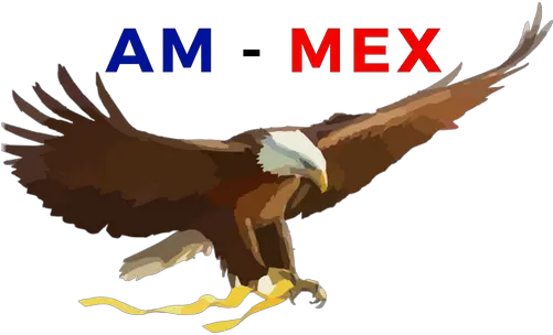 Am Mex Ravenwood Media Transparent Eagle Cartoon Png Mexican Eagle Logo