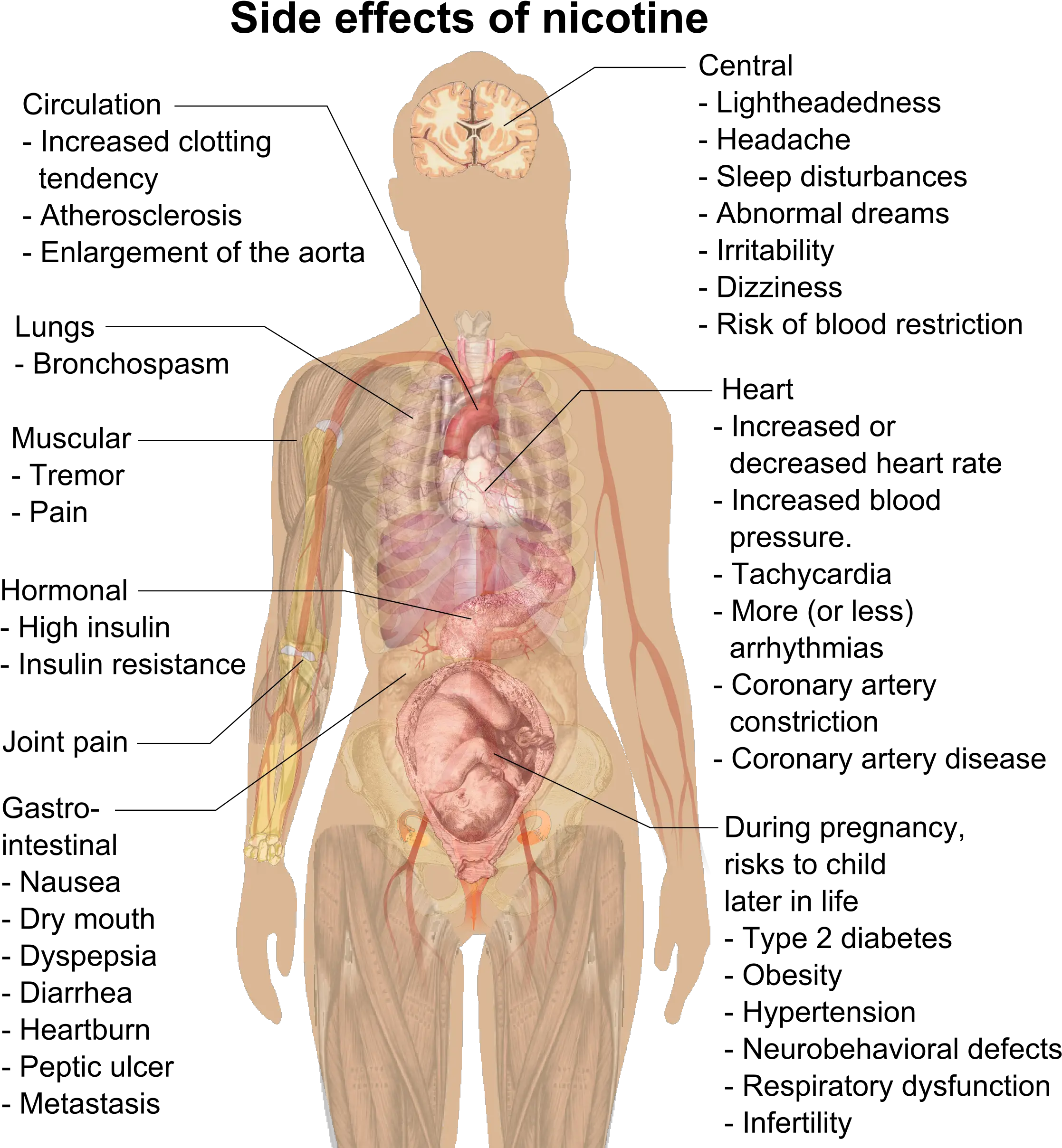 Side Effects Of Nicotine Png