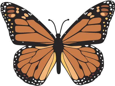 Cropped Vector Monarch Butterfly Svg Png Monarch Png