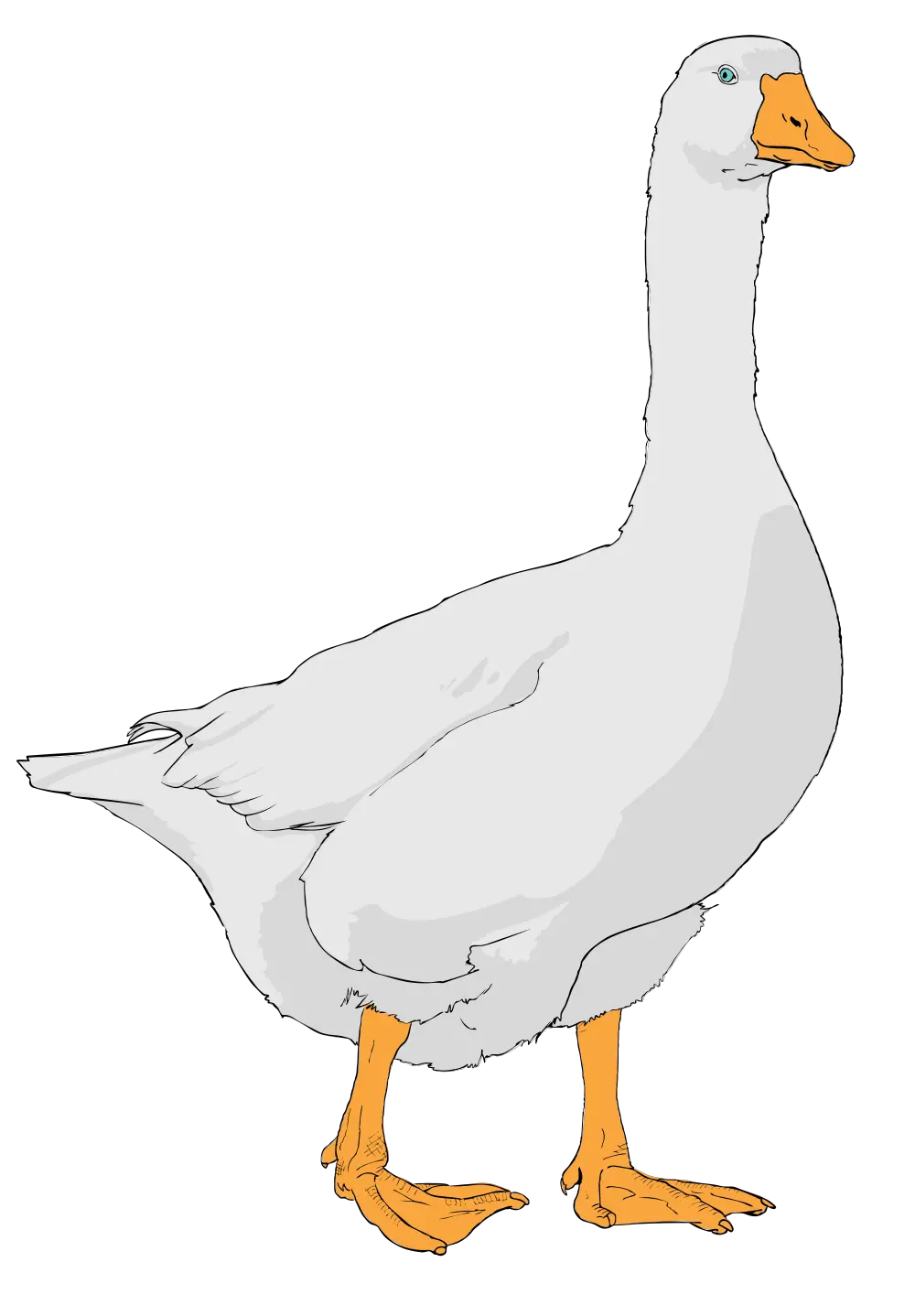 Farm Clipart Goose Goose Clipart Png Goose Transparent