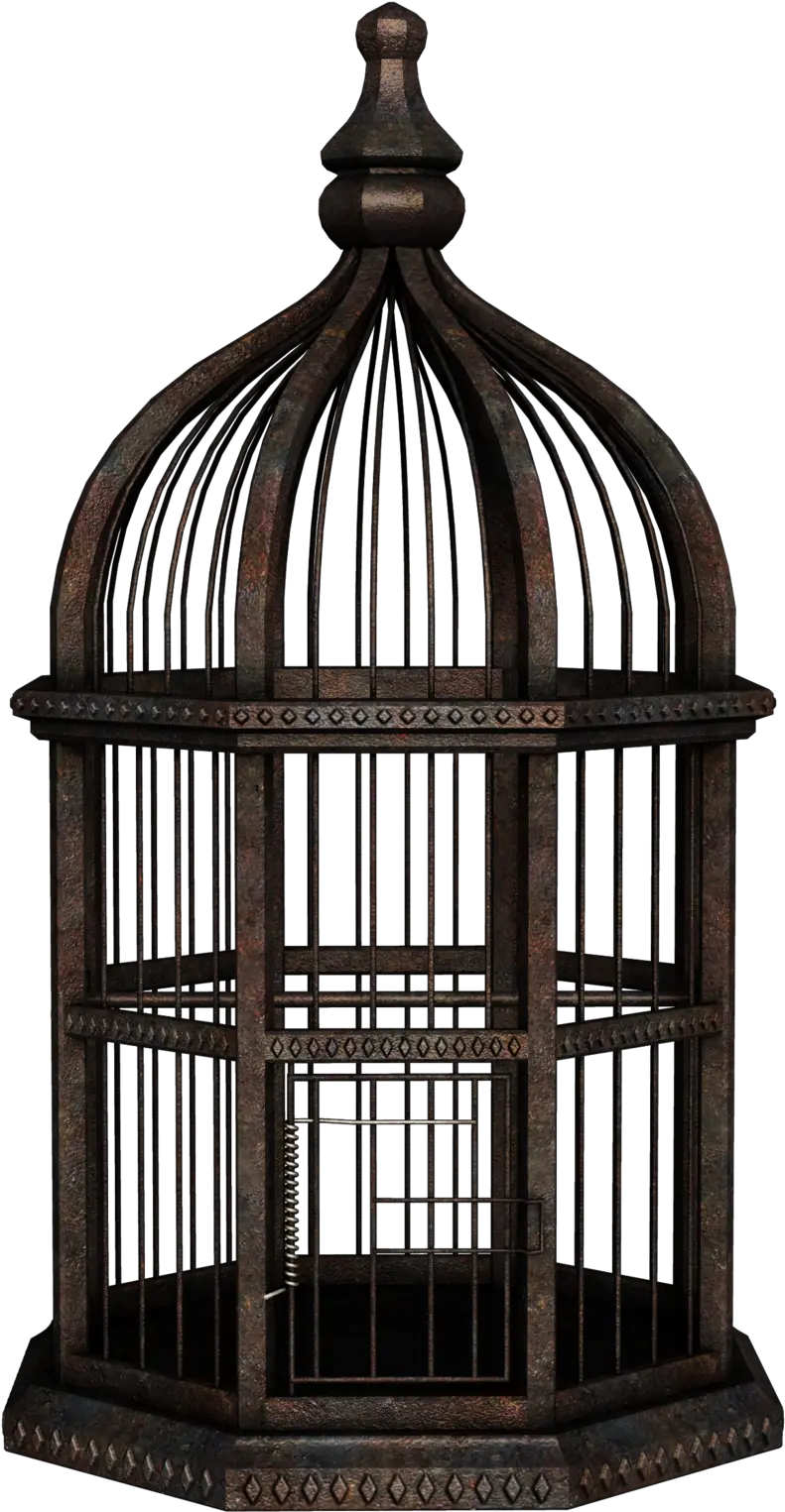 Cage Png Transparent Hd Photo Bird Cage Transparent Background Cage Transparent