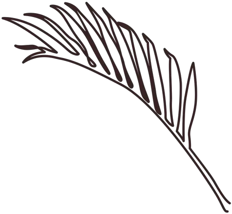 Palm Branch Line Drawing Language Png Palm Branch Png