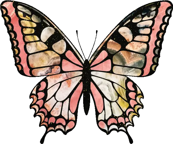 Butterfly Gifs Get The Best Gif On Giphy Girly Png Butterfly Gif Transparent