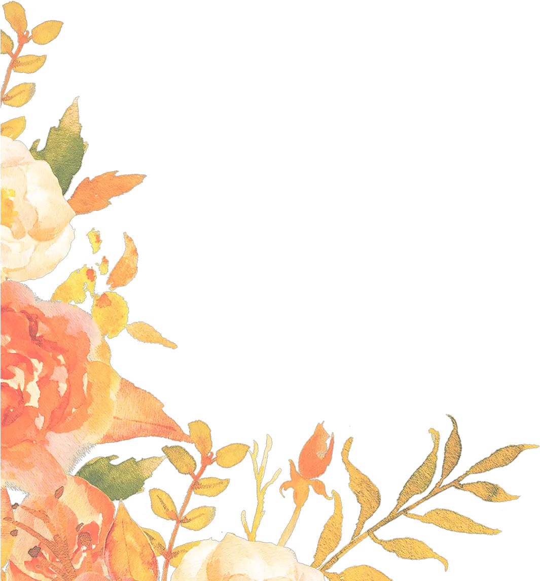 Border Vector Png Graphic Free Autumn Vector Border Peach Floral Border Png Border Vector Png png