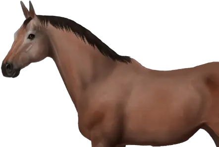 Burn Mark Horse World Online Sorrel Png Burn Mark Png