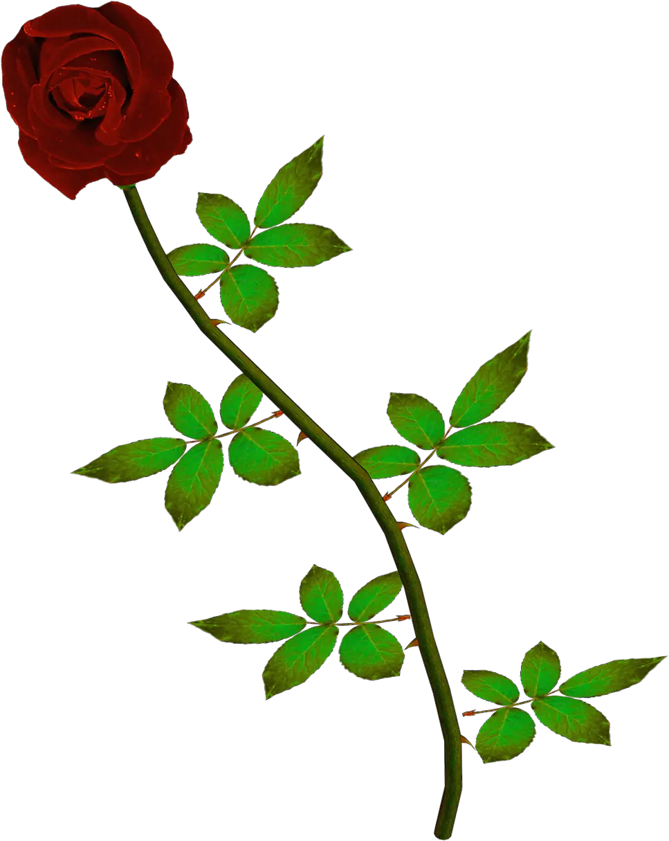 Rosas Rojas Png Fondos De Pantalla Y Mucho Más