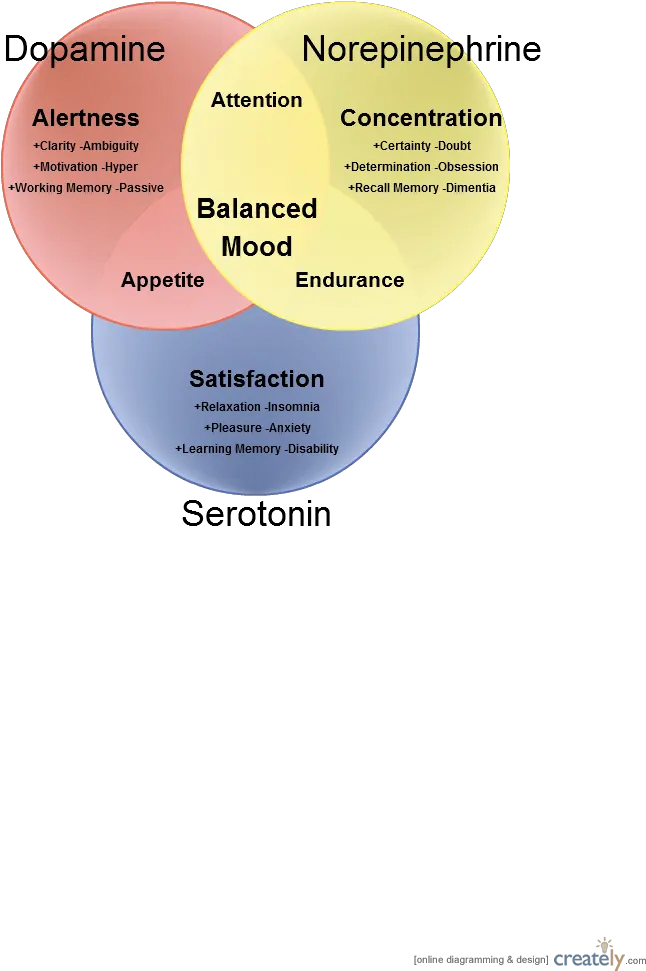 Dopamine Norepinephrine Serotonin Serotonin Norepinephrine Dopamine Venn Diagram Png Venn Diagram Png