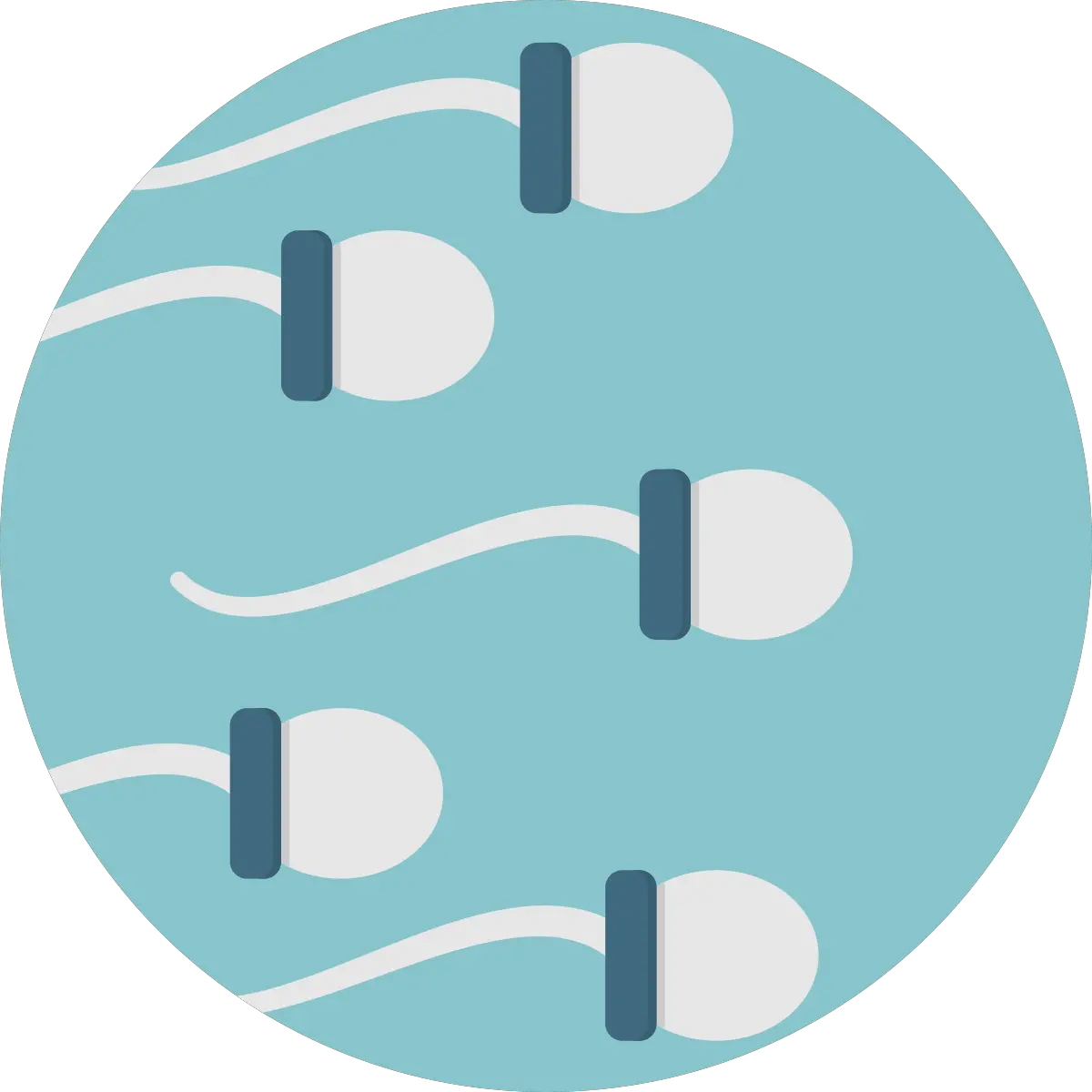 Creative Sperm Icon Png Sperm Png