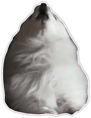 Download Gabe The Dog Png Gabe Meme Dog Png Gabe The Dog Png