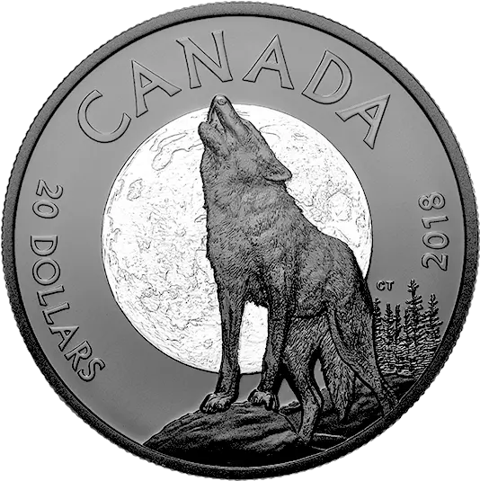 Download Hd Pure Silver Coin Nocturnal By Nature Coin Cash Png Silver Coin Png