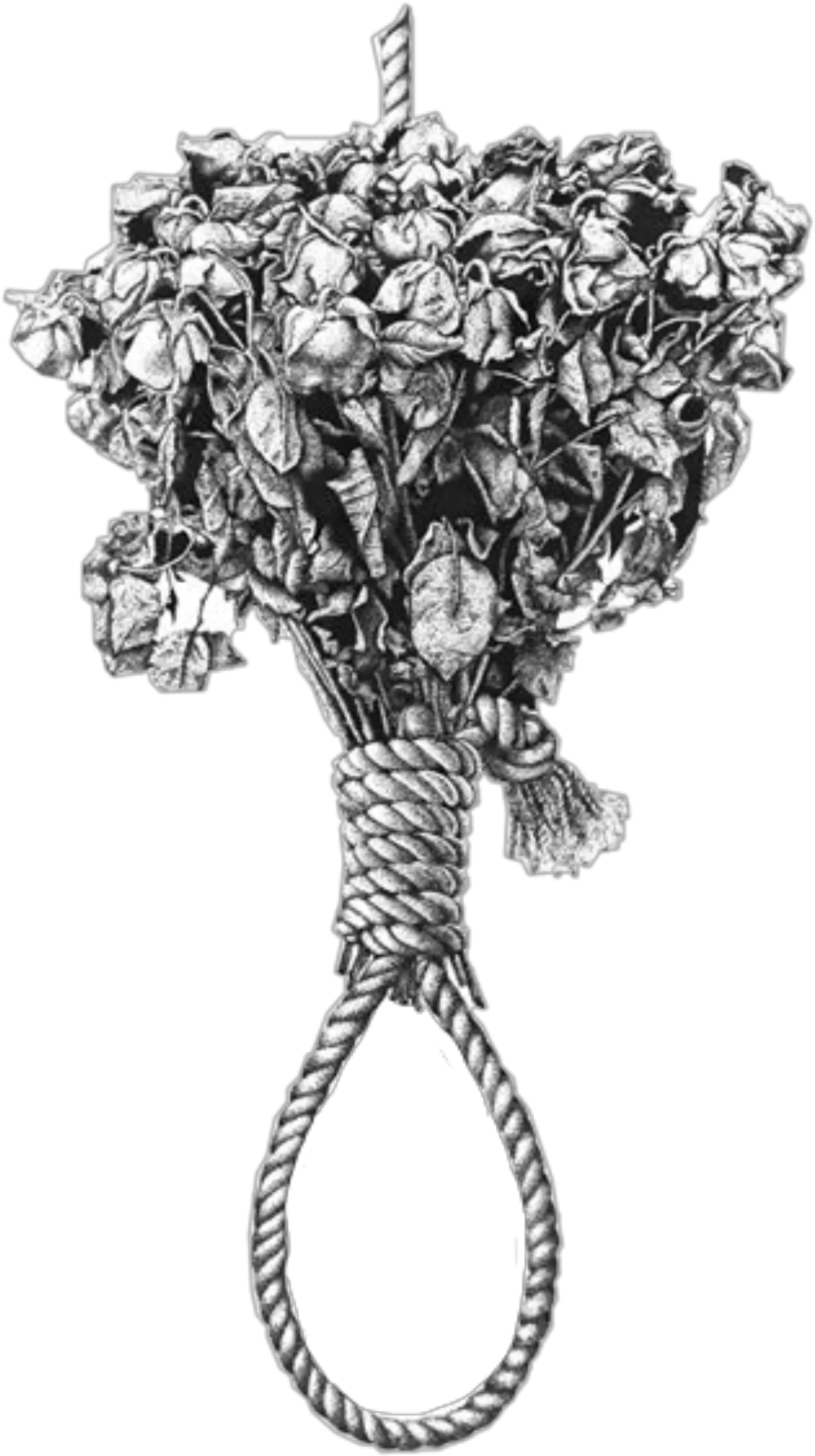 Deadflowers Brokenheart Noose Sticker By Emily Happens When You Call The Suicide Hotline Png Noose Transparent
