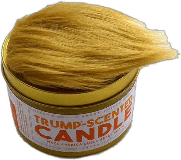 Trump Blond Png Trump Hair Png