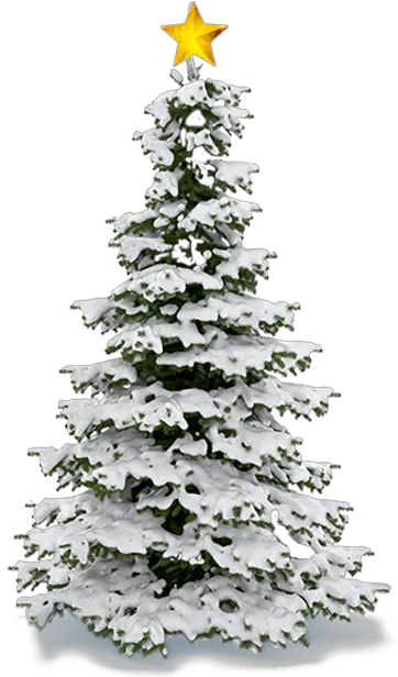 Christmas Tree Snow Christmas Snow Tree Png Christmas Snow Png