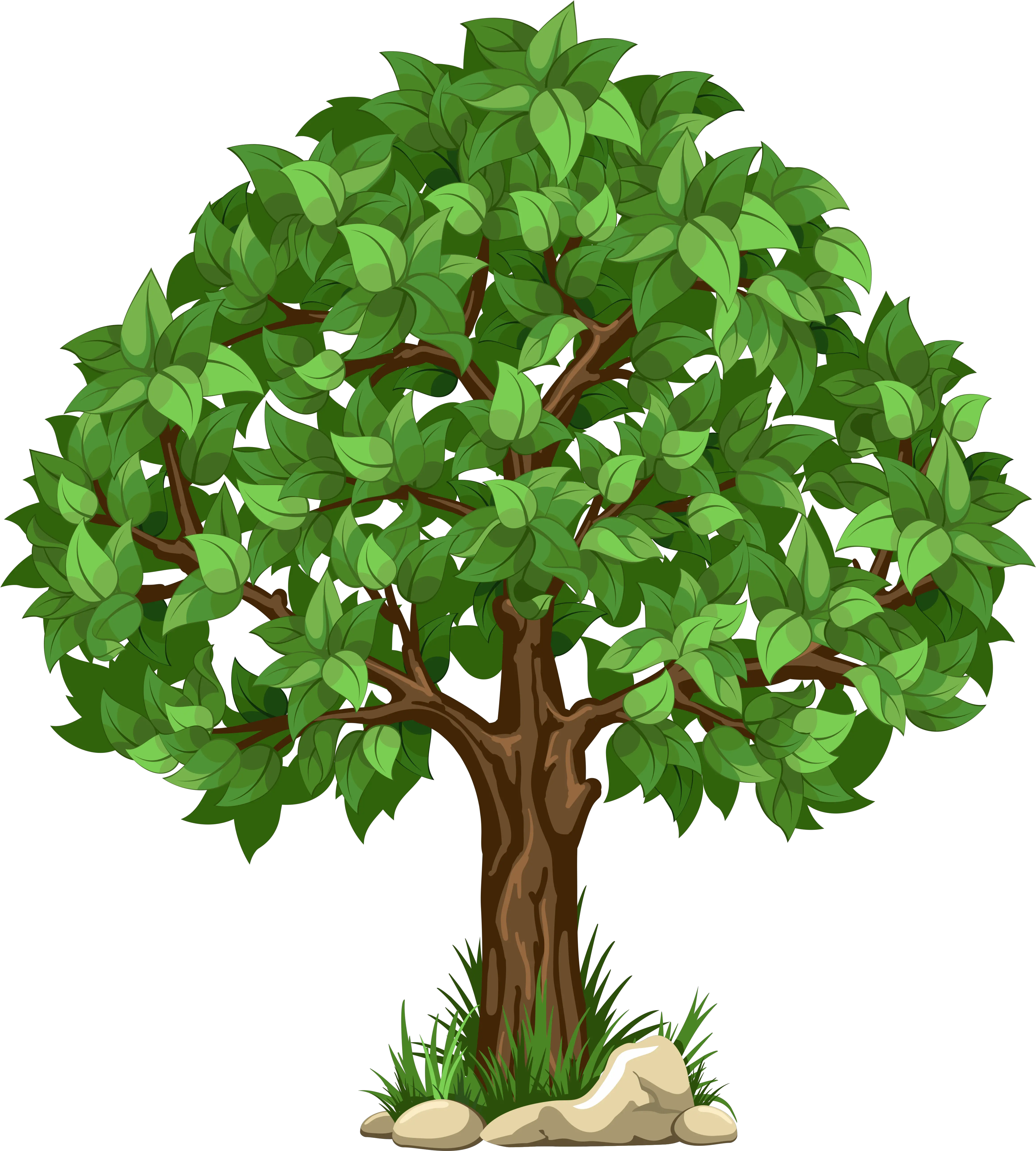 Tree Clipart Transparent Background Png Clip Art