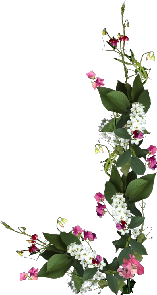 Wedding Flowers Png Wedding Invitation Flowers Png Wedding Flowers Png png