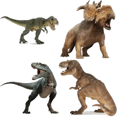 Dinosaurs Transparent Png Images Colour Is At Rex Dinosaur Transparent Background