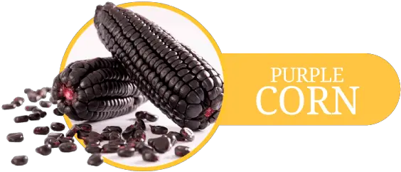 Purple Corn U2013 Inka Golden Grain Maiz Morado Peru Png Corn Transparent