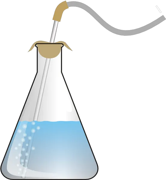 Index Of Erlenmeyer Flask Gif Png Science Clipart Png