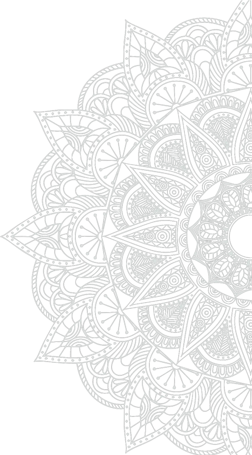 Sufism Transformation Transparent White Mandala Png Mandala Transparent Background