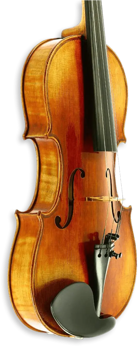 Violin Viola And Cello Specialists Solid Png Violin Transparent