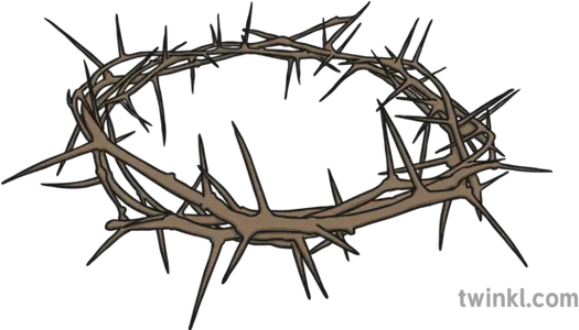 Crown Of Thorns Illustration Espinas Png Thorn Crown Png