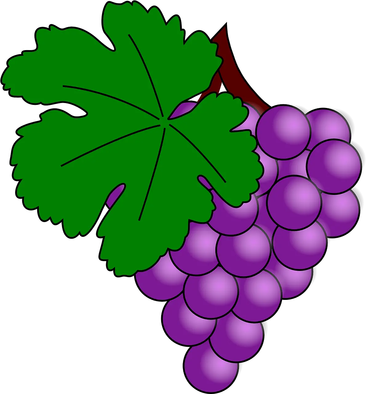 Grape Vine Png How To Set Use Grape With Vine Leaf Svg Grapes Clip Art Vine Png