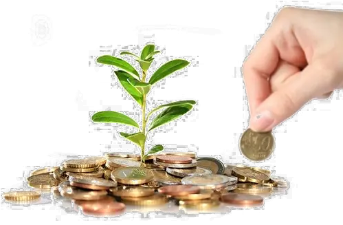 Save Money Png Photo All Savings Account Money Tree Png