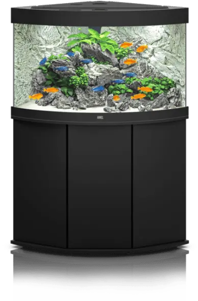 Aquarium Png Transparent Images Juwel Cliff Light Background Fish Tank Png