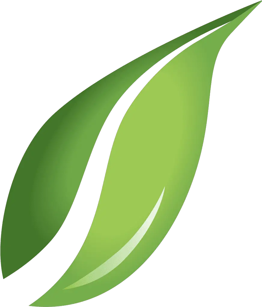 Leaf Vector Transparent Background Transparent Leaf Png Vector Leaf Vector Png png