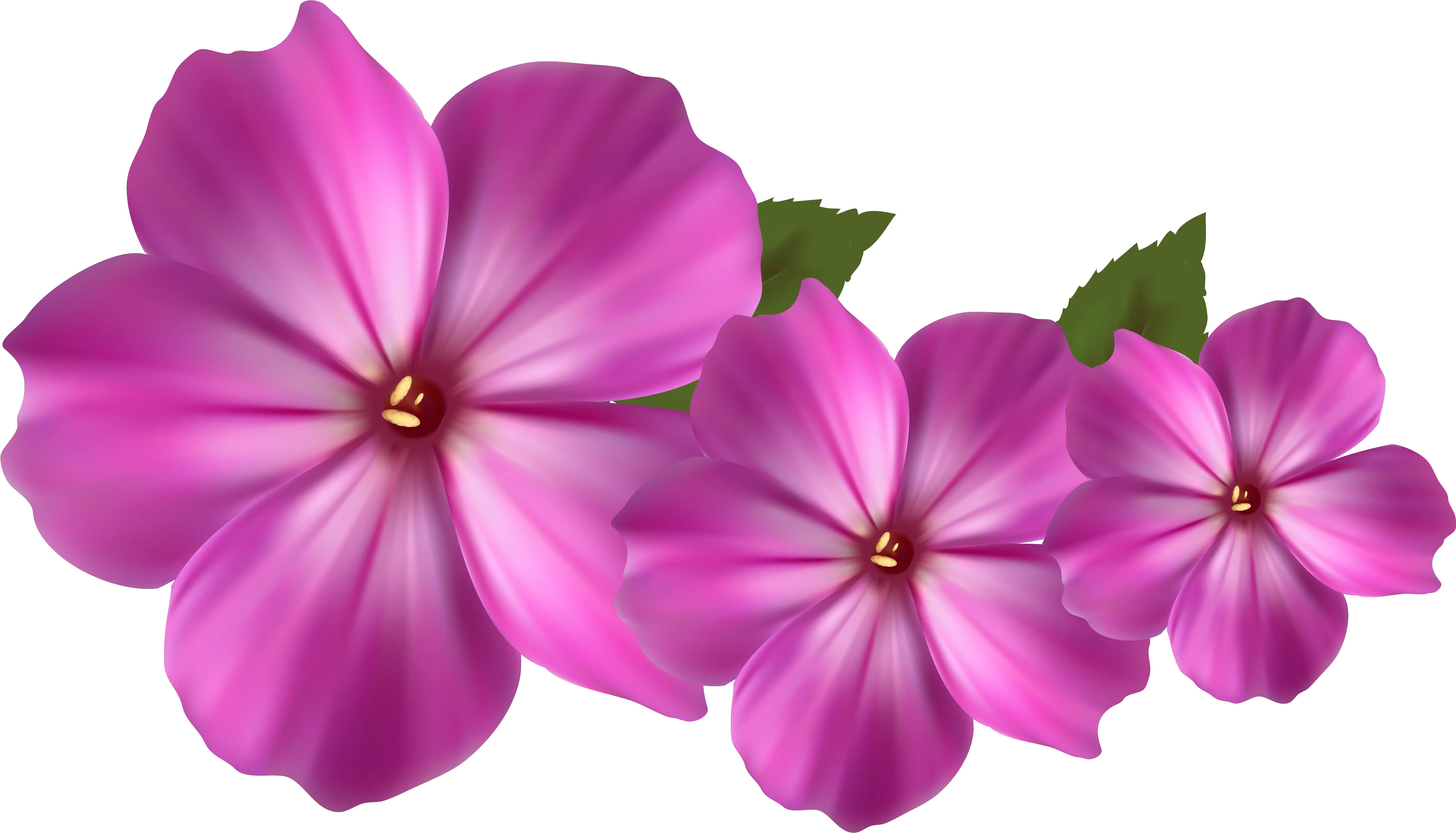 Pink Flower Decor Png Purple Pink Flower Clipart Decor Png