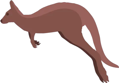 Transparent Png Svg Vector File Canguru Png Kangaroo Transparent Background