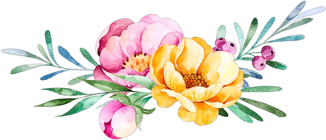 Watercolor Peonies Png Picture Flower Watercolor Png Peonies Png