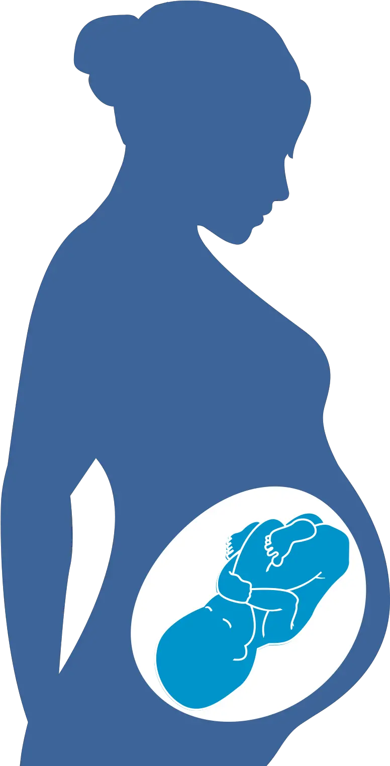 Library Of Hiv Virus Affecting The Person Picture Pregnant Clipart Png Virus Png
