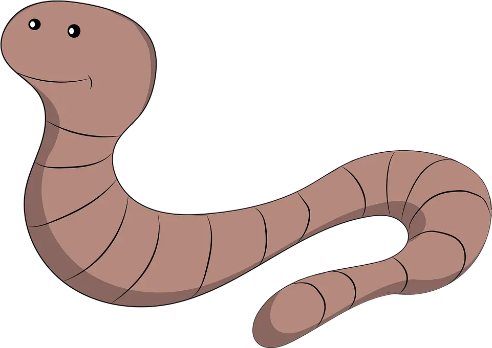 Earth Worm Earthworm Worm Meaning Png Worm Png