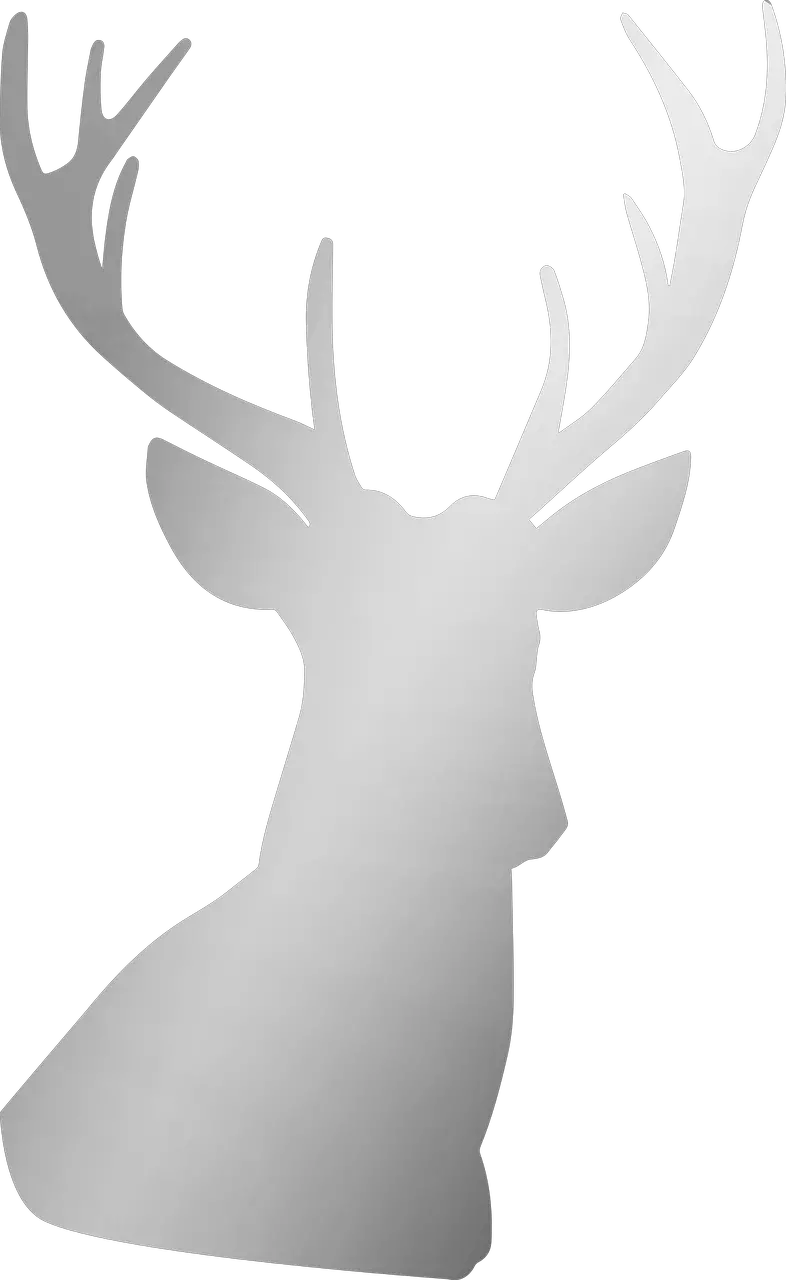 Silver Deer Antler Free Image On Pixabay Silver Stag Png Buck Png