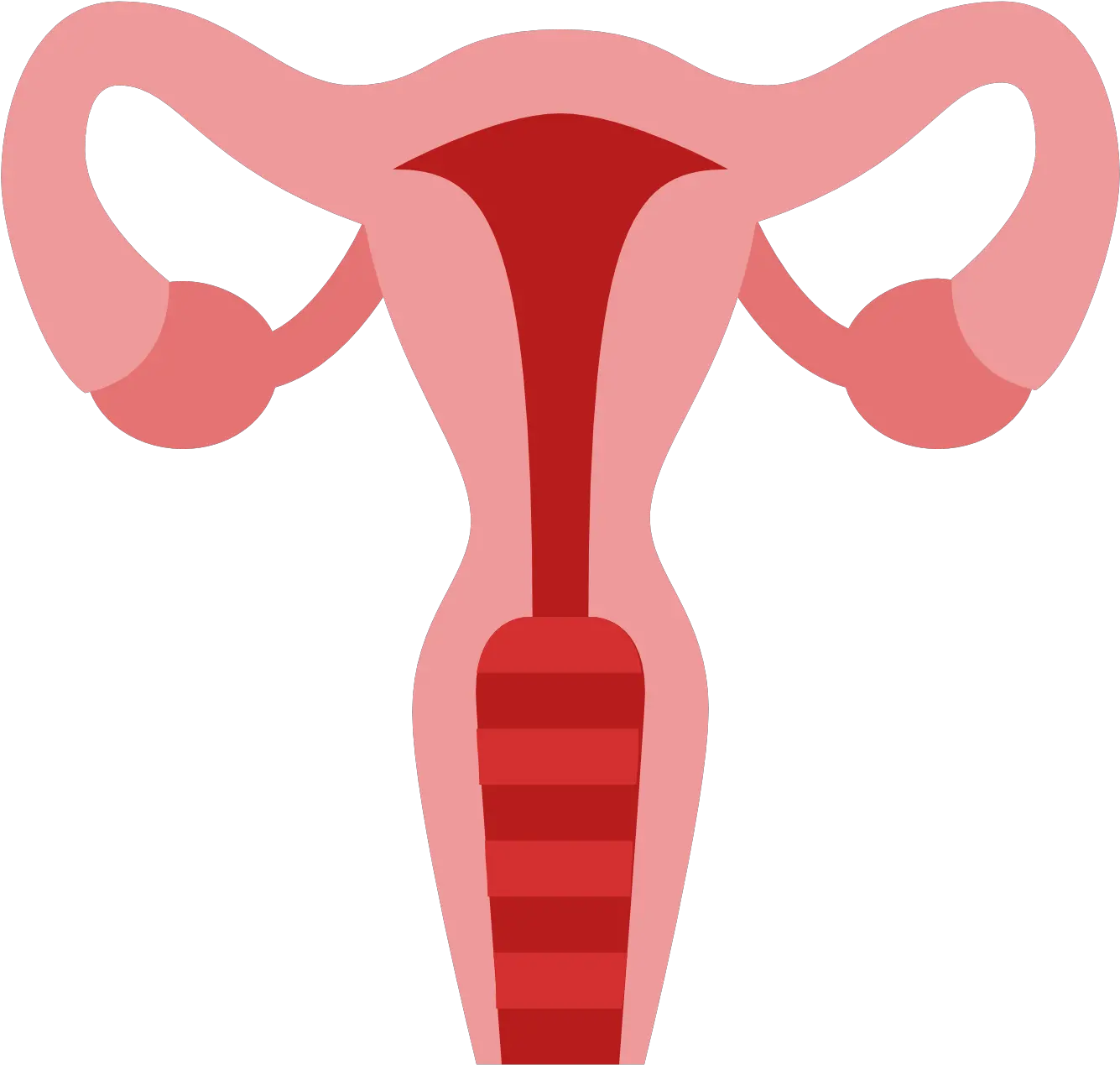 Vagina Vector Transparent Png Clipart Transparent Uterus Clipart Vagina Png