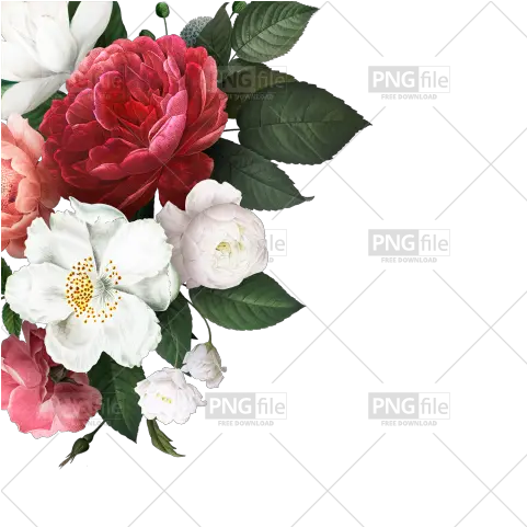 Flower Corner Design Png Free Download Floral Corner Design Png Floral Design Png