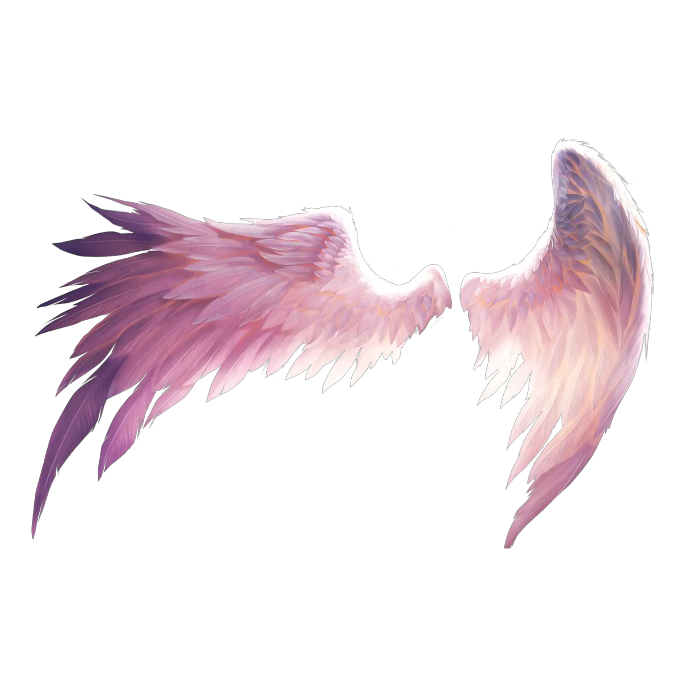 Wings Pink Angel Wings Art Png Wing Png