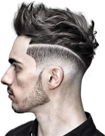 Men Haircut Png 5 Image Hair Style Back Side Men Hair Png